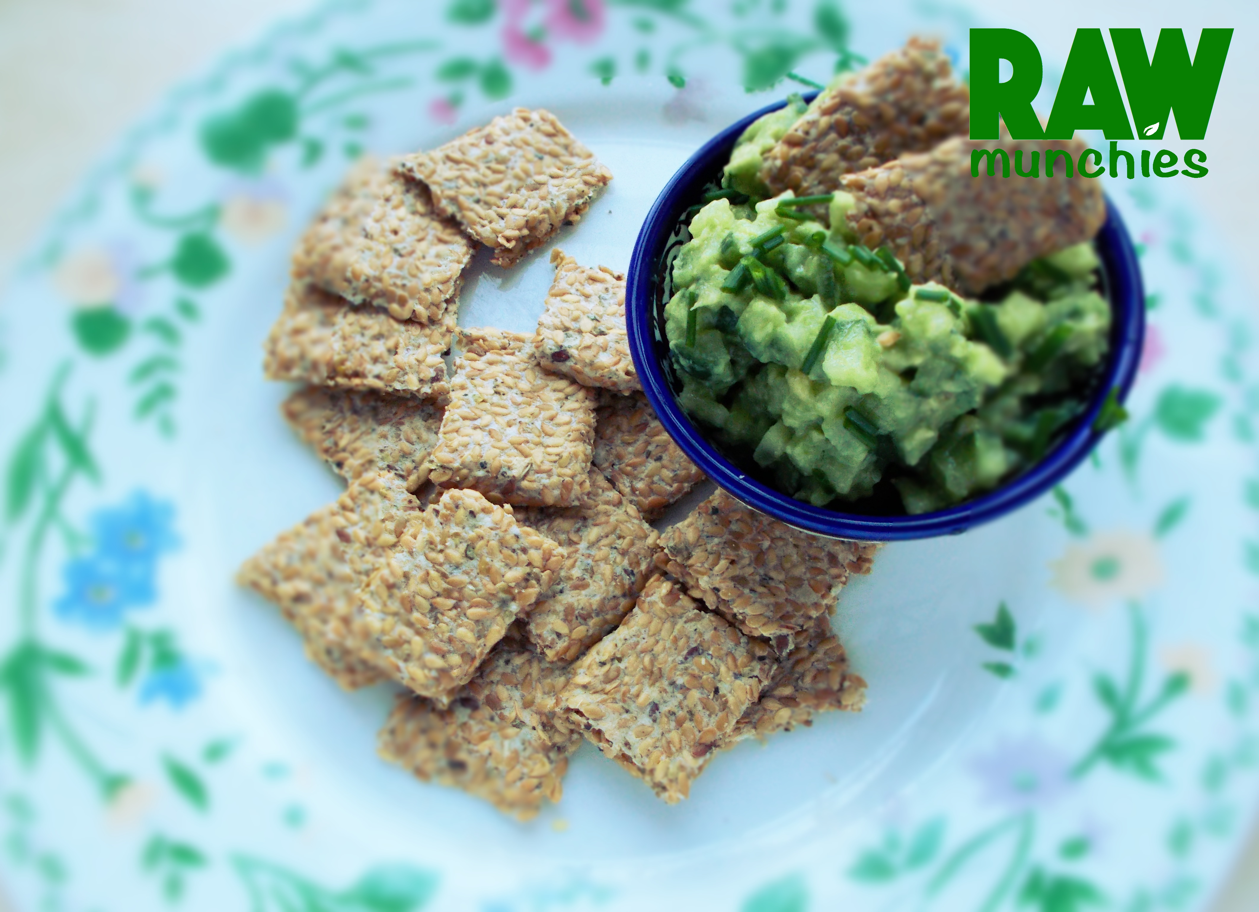 Raw Vegan Mini Flax Crackers